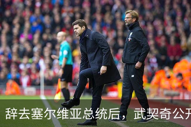 辞去塞尔维亚总统后，武契奇公开作出承诺：不会对俄罗斯实施制裁